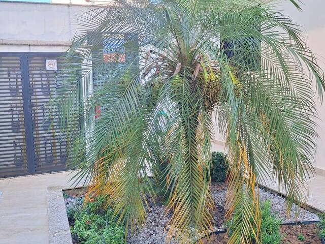 #294 - Apartamento para Locação em São Paulo - SP - 2